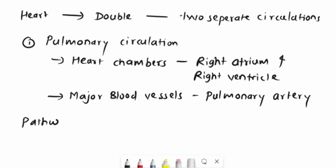 the-heart-is-called-a-double-pump-because-there-are-two-functionally-separate-circulations-trace-the-pathway-of-each-of-these-circulations-and-include-the-following-information-heart-chamber-82422