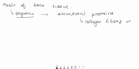 question-29-the-matrix-of-bone-tissue-is-considered-to-be-a-composite-because-oit-has-cell-types-capable-of-bone-deposition-and-bone-resorption-o-it-consists-of-two-different-types-of-struct-70834