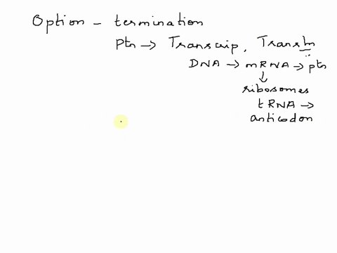 e-how-does-termination-of-translation-take-place-the-end-of-the-mrna-molecule-is-reached-a_-stop-codon-is-reached-the-poly-a-tail-is-reached-the-5-cap-is-reached-29387