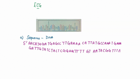 below-is-an-electropherogram-from-a-sequencing-reaction-assume-the-dna-reads-right-to-left-5-3-tred-a-green-g-black-c-blue-5-points-luuuu-a-what-is-the-sequence-of-the-dna-b-transcribe-this-04596