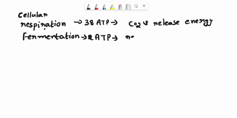 why-does-cellular-respiration-produce-more-atp-than-fermentation-17822