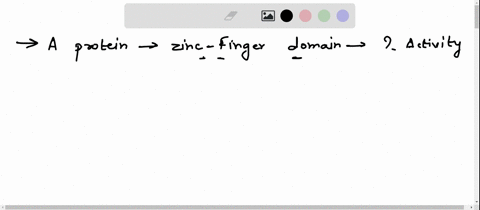 a-protein-with-a-zinc-finger-domain-most-likely-has-what-type-of-activity-dna-binding-modifying-proteins-with-phosphate-groups-initiation-of-translation-mrna-splicing-a-protein-with-a-zinc-f-14681
