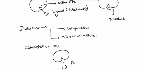 question-20-5points-an-enzymeinhibitor-is-competitive-when-occupies-the-position-in-the-active-site-of-the-enzyme-is-non-competitive-when-binds-to-the-enzyme-at-a-location-of-the-active-site-55402
