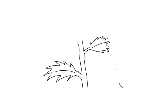 question-15-folann-wolfgang-von-goethe-fealized-plants-are-modular-ie-that-is-they-consist-of-sets-ofparts-that-repeating-make-up-a-more-complex-structure-in-this-what-are-the-four-image-rep-57901