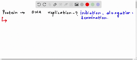 which-proteins-are-required-for-dna-replication-initiation-elongation-and-termination-43476