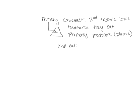 which-organism-is-a-primary-consumer-see-attached-diagram-please-explain-answer-krill-elephant-seal-squid-penguin-the-diagram-shows-an-ocean-food-web_-which-organism-is-a-primary-consumer-kr-87728