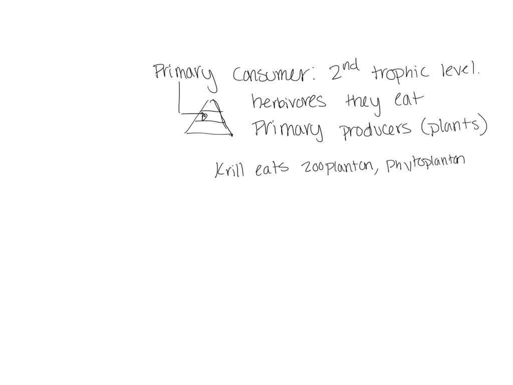 SOLVED: Does ihe picture represent a food chain or a food web? web List