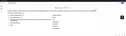 a-proteins-localization-in-the-cell-is-determined-by-the-presence-of-different-targeting-sequences-in-the-proteins-amino-acid-sequence-match-the-sequence-type-with-the-location-that-the-prot-64626