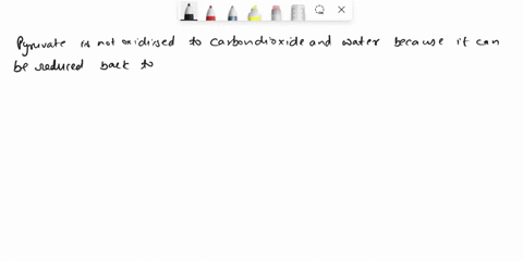 why-is-pyruvate-not-oxidized-to-carbon-dioxide-and-water-under-anaerobic-conditions-10185