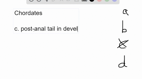 figure-1533-which-of-the-following-statements-about-common-features-of-chordates-is-true-a-the-dorsa-04363