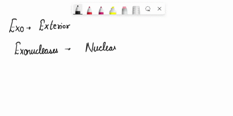 83-which-of-the-following-agents-can-cause-strand-breakage-in-dna-a-ionizing-radiation-b-peroxides-c-nucleases-d-all-of-the-above-84-which-type-of-enzyme-removes-nucleotides-from-the-end-of-07241
