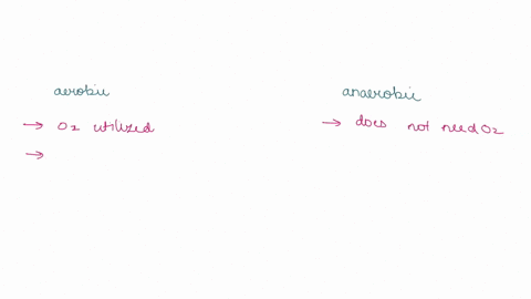 what-is-the-difference-between-anaerobic-and-aerobic-respiration-50306