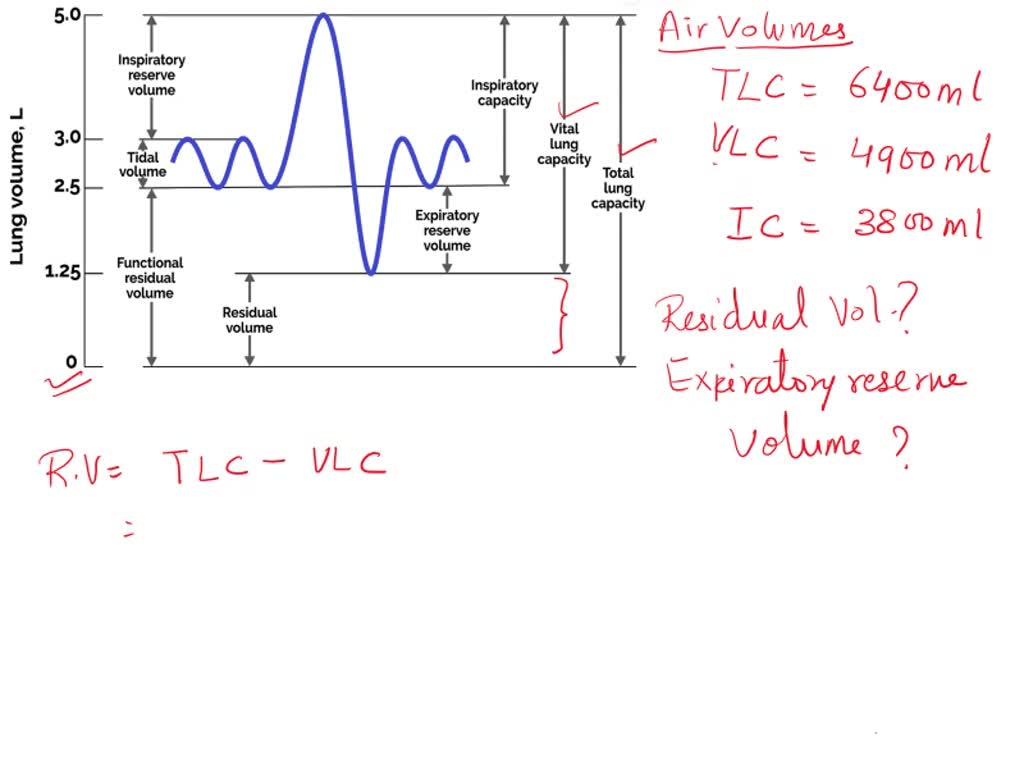 solved-calculate-the-expiratory-reserve-volume-and-residual-volume