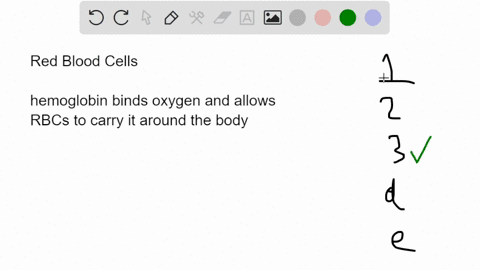 red-blood-cells-1-are-biconcave-discs-2-have-a-lobed-nucleus-3-contains-lots-of-hemoglobin-molecules-and-3but-not-2-12and-3-33313