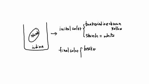 figure-5-ot-iodine-laae-frje-z0-nonarch-indal-lubne-fzure-7-starh-duhee-membrnc-n-ilinc-sclutin-ficuneslutnc-plter-0-mintc-record-your-observations-whal-the-initial-color-of-tne-iodine-water-24855