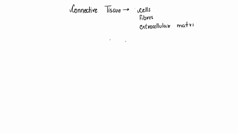 in-connective-tissue-which-structure-resists-stretch-like-a-rope-a-b-0-75477
