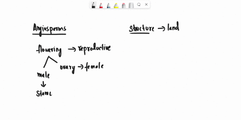 what-are-the-two-structures-that-allow-angiosperms-to-be-the-dominant-form-of-plant-life-in-most-ter-34107