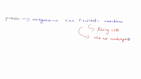 what-advantage-do-protein-based-enzymes-offer-over-rna-based-enzymes-and-inorganic-catalysts-96627