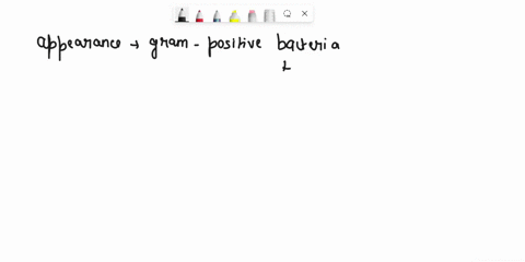question-10-the-appearance-of-gram-positive-bacteria-after-the-mordant-violet-red-colorless-brown-none-of-these-question-11-the-appearance-of-gram-positive-bacteria-after-the-decolorizer-vio-75087