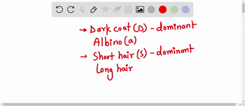 in-dogs-dark-coat-color-phenotype-d-is-dominant-over-albino-a-and-short-hair-s-dominant-over-long-hair-v-assume-that-these-phenotypes-are-caused-by-two-independently-assorting-genes-and-writ-72889