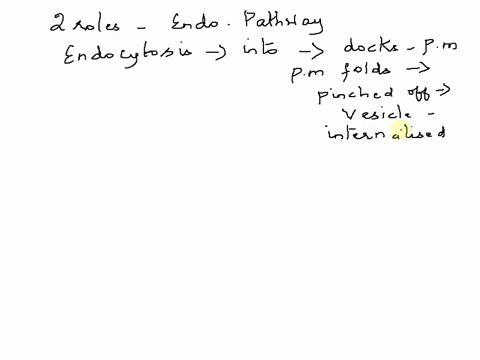describe-the-two-roles-of-the-endocytic-pathway-08373
