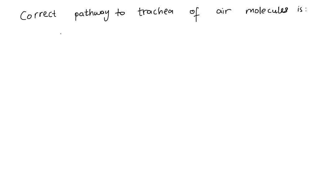 Correct Sequence Of Air Passage