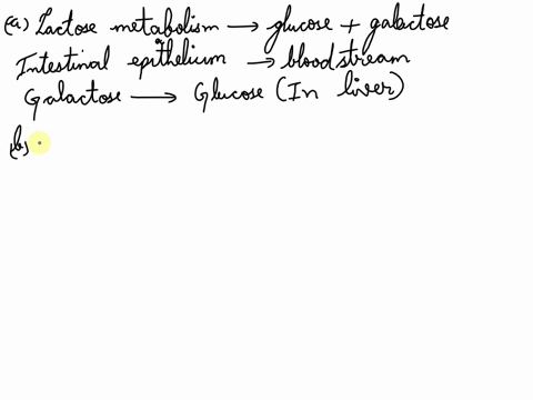 infants-express-lactase-in-their-intestines-to-metabolize-lactose-a-how-do-the-products-of-this-reaction-enter-glycolysis-what-are-the-sugars-converted-into-for-entry-into-glycolysis-05-b-ho-07822