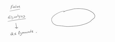 carbon-dioxide-is-produced-by-the-break-down-of-pyruvate-in-the-krebs-citric-acid-cycle-true-false-23982