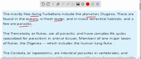 list-4-differences-between-any-two-classes-of-the-phylum-platyhelminthes-27366