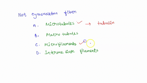 there-are-three-types-of-fibers-in-the-cytoskeleton-which-of-these-is-not-a-cytoskeleton-fiber-a-microtubules-b-macrotubules-c-microfilaments-d-intermediate-filaments-25486