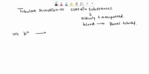 the-following-are-true-regarding-tubular-secretion-except-k-is-secreted-in-the-intercalated-cells-h-along-with-organic-acids-and-bases-are-secreted-from-the-proximal-tubule-invol-ives-the-el-44783