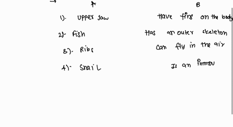 match-the-coloumnplz-help-i-make-barinlist-right-answer-03-match-the-items-given-in-column-with-those-in-column-ii-6-4-b-1-upper-jaw-have-fins-on-the-body-2-fish-has-an-outer-skeleton-3-ribs-73247