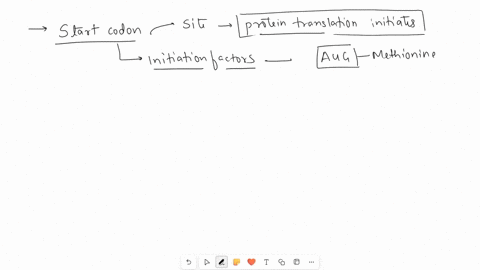 what-is-a-start-codon-what-is-a-stop-codon-give-an-example-of-each-list-the-3-main-steps-of-transcription-for-the-dna-strand-5-tacgatcatat-3-the-correct-complementary-dna-strand-is-59308