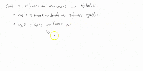 a-process-by-which-cells-break-polymers-down-into-smaller-units-is-08075