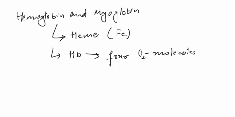 select-all-statements-that-correctly-describe-hemoglobin-and-myoglobin-structure_-both-hemoglobin-and-myoglobin-contain-a-prosthetic-group-called-heme-which-contains-central-iron-fe-atom-hem-31357