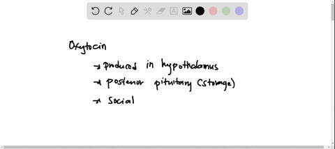 which-of-the-following-statements-about-the-hormone-oxytocin-isare-accurate-a-release-of-oxytocin-does-not-depend-on-input-from-different-senses-in-humans-compared-to-other-mammals-b-it-help-78597