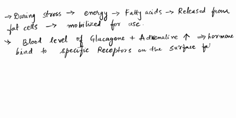 1-in-the-fasted-state-how-are-stored-lipids-in-adipose-tissue-mobilized-so-that-free-fatty-acids-are-available-for-energy-metabolism-be-specific-with-names-and-processes-of-catecholamines-an-33997