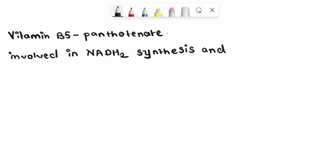 which-of-the-following-vitamin-in-necessary-for-synthesis-of-nadh2-a-vitamin-b2-b-vitamin-b5-c-vitamin-c-d-vitamin-k-50772
