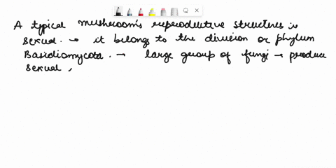 structure-is-the-typical-mushroom-this-the-drawing-shows-reproductlve-structure-of-asexual-circle-one-sexual-the-phyla-name-label-the-words-in-bold-on-the-figure-caplpileus-gills-this-forms-43915