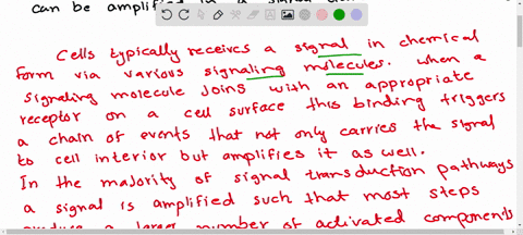 are-there-limits-to-how-much-such-a-signal-can-be-amplified-in-a-signal-transduction-pathway-if-yes-how-74201