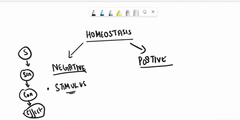 based-on-your-understanding-of-how-negative-homeostatic-mechanisms-occur-in-the-animal-body-which-of-the-following-would-you-characterize-as-a-positive-feedback-mechanism-indicate-the-letter-14312