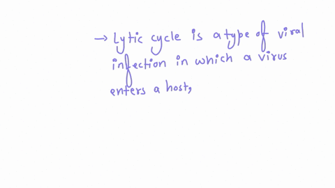 describe-the-stages-of-viral-infection-lytic-cycle
