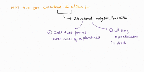 cellulose-and-chitin-are-similar-in-all-of-the-following-ways-except-both-have-extensive-hydrogen-bonding-both-are-polymers-of-glucose-both-have-extended-ribbon-conformations-both-are-struct-86935