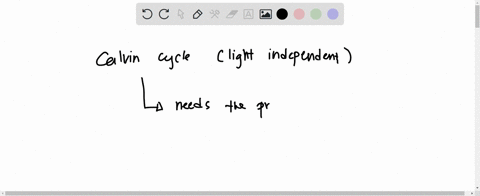 in-calvin-cycle-the-initial-incorporation-of-carbon-from-co2-into-organic-compounds-is-indirectly-dependent-on-light-to-produce-sugar-because-it-requires-the-supply-of-atp-and-nadph-produced-93022