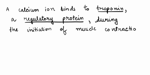 what-structure-does-a-calcium-ion-bind-to-when-muscle-contraction-is-initiated-59703