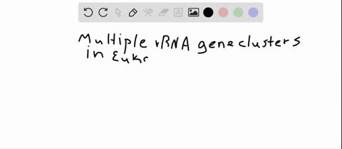 eukaryotic-genomes-generally-contain-multiple-rrna-gene-clusters-a-in-which-the-genes-are-invariably-pseudogenes-b-which-enables-large-amounts-of-rrna-to-be-transcribed-c-which-enables-mrna-to-be-synt