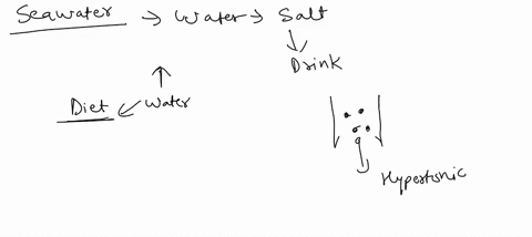 seawater-is-dangerous-to-drink-because-seawater-is-isotonic-to-your-body-fluids-and-you-will-absorb-too-much-water-causing-your-cells-to-burst-one-cup-of-seawater-contains-enough-sodium-to-p-85888