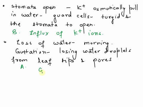 multiple-choice-questions-1-stomata-open-due-to-a-influx-of-calcium-ions-influx-of-potassium-ions-c-efflux-of-potassium-ions-d-influx-of-hydrogen-ions-2-loss-of-water-in-the-early-morning-fr-07666