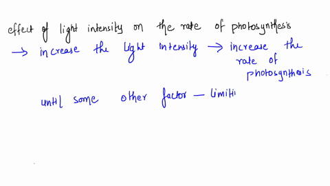 what-conclusion-can-you-draw-about-the-effect-of-light-intensity-on-the-rate-of-photosynthesis-62253