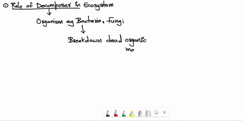 an-important-role-of-the-decomposers-in-an-ecosystem-is-to-amake-carbon-dioxide-for-plants-brecycle-water-in-the-soil-cadd-nutrients-to-the-soil-dremove-oxygen-from-the-air-67533